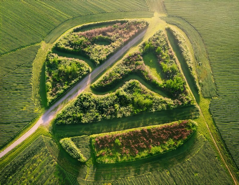 Greenwashing vs Greenhushing: comunicare la sostenibilità con equilibrio